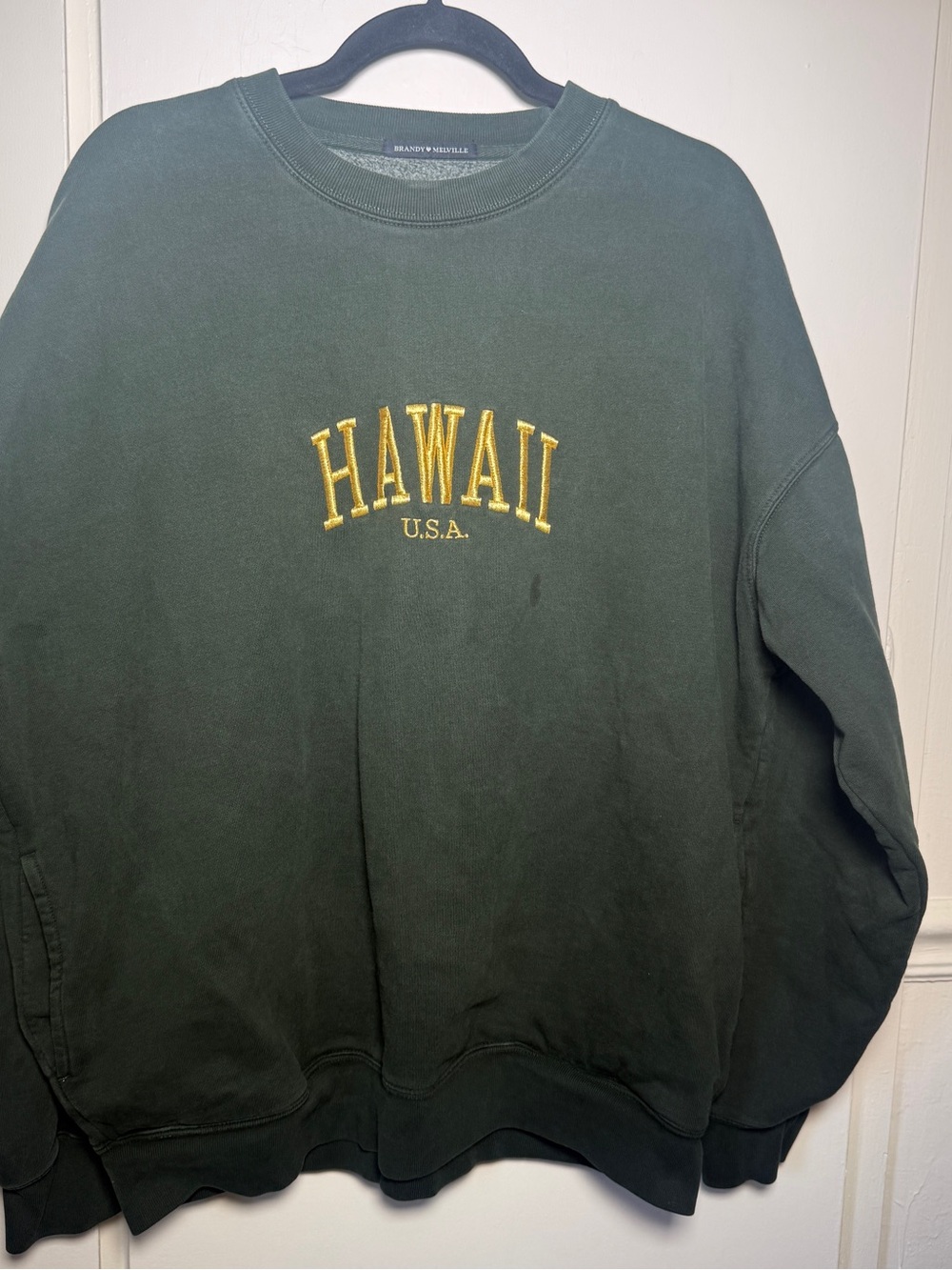 Brandy Melville Hawaii Embroidered Green Oversized Crewneck Sweatshirt XL
